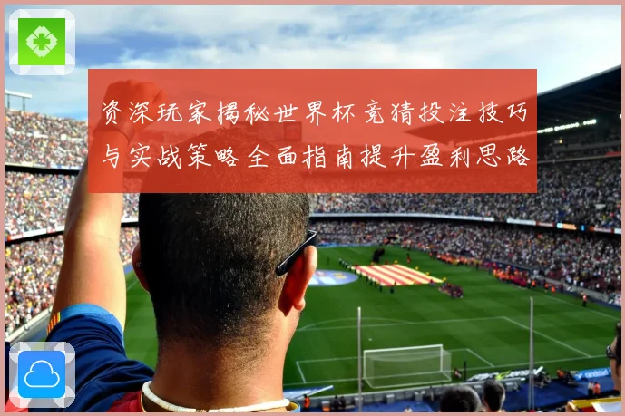 资深玩家揭秘世界杯竞猜投注技巧与实战策略全面指南提升盈利思路