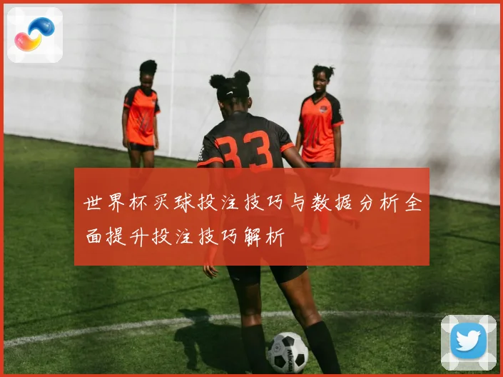 世界杯买球投注技巧与数据分析全面提升投注技巧解析