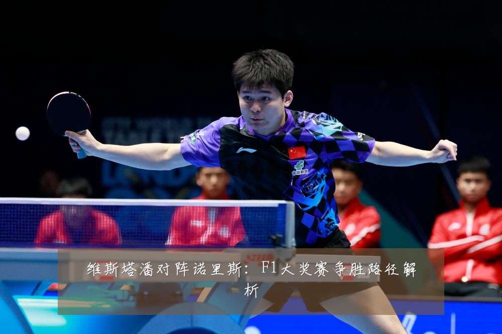 维斯塔潘对阵诺里斯：F1大奖赛争胜路径解析
